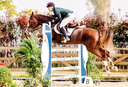 寧夏騎手袁傳銘 全國馬術賽場再奪冠