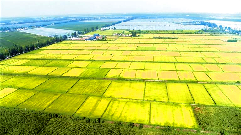 1528dac8-ba05-4e91-9c67-7de0f2a31927.jpg 1528dac8-ba05-4e91-9c67-7de0f2a31927.jpg